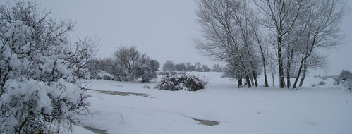 Performance Opportunities