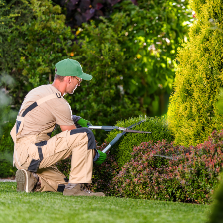 Imagen PUESTO DE TRABAJO JARDINERO- PEÓN- OPERARIO DE SERVICIOS MÚLTIPLES
